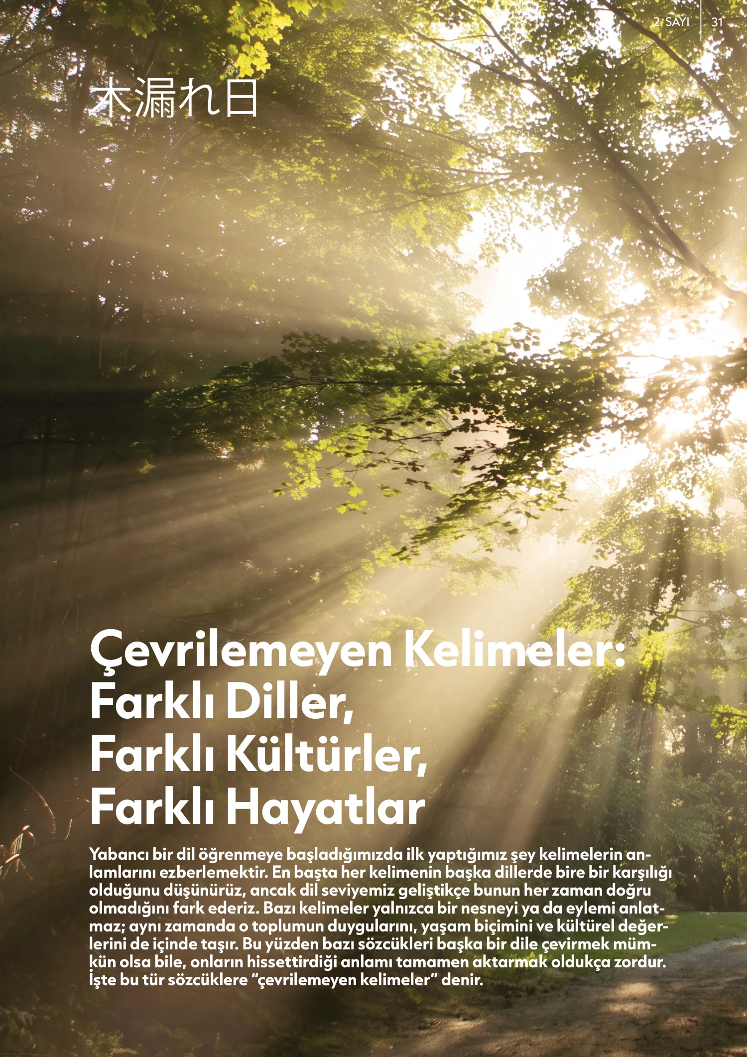 Dragomania · 2. Sayı — 31